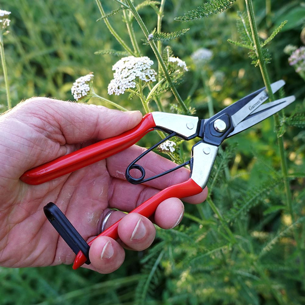 Spring-Loaded Long-Nose Fruit Scissor
