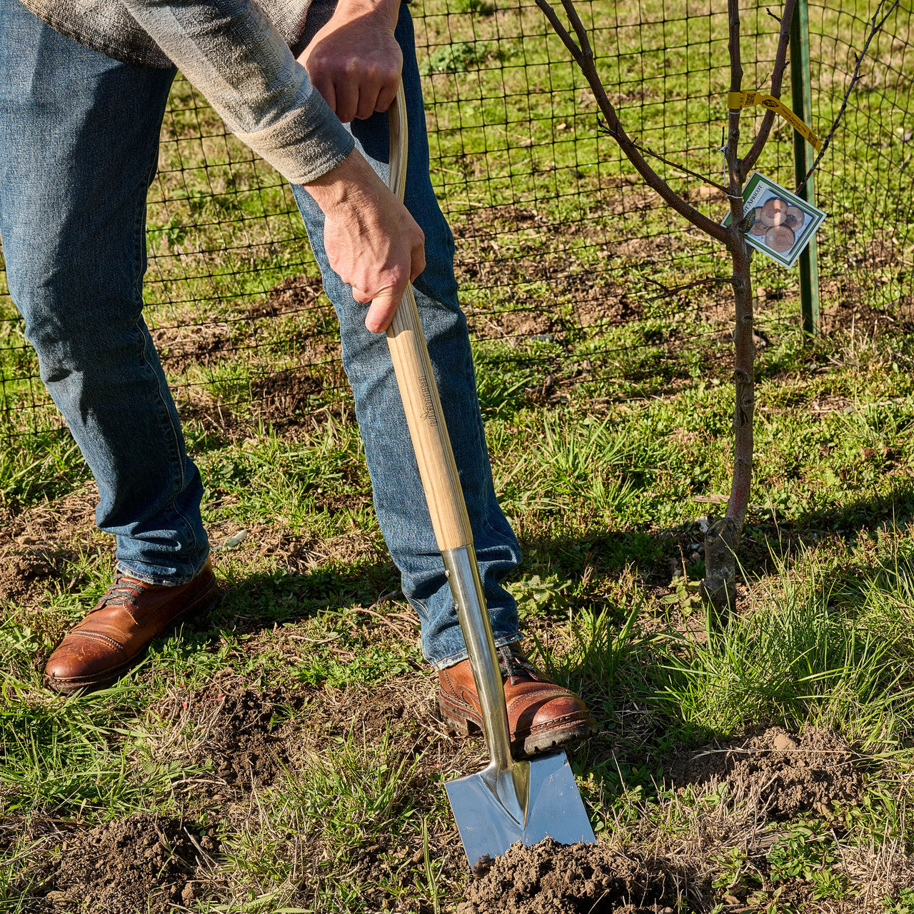 Old World Stainless Steel Shovel with Ash Handle
