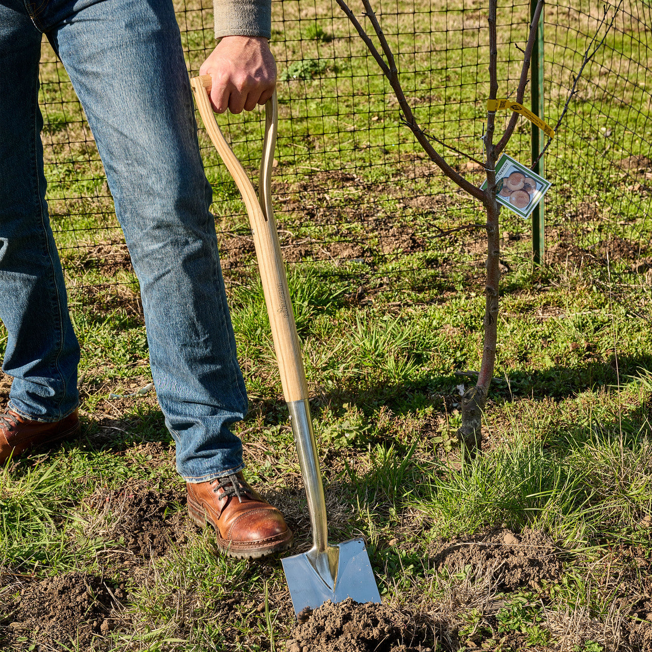 Old World Stainless Steel Shovel with Ash Handle