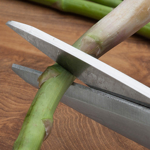 Stainless Steel Kitchen & Household Shears