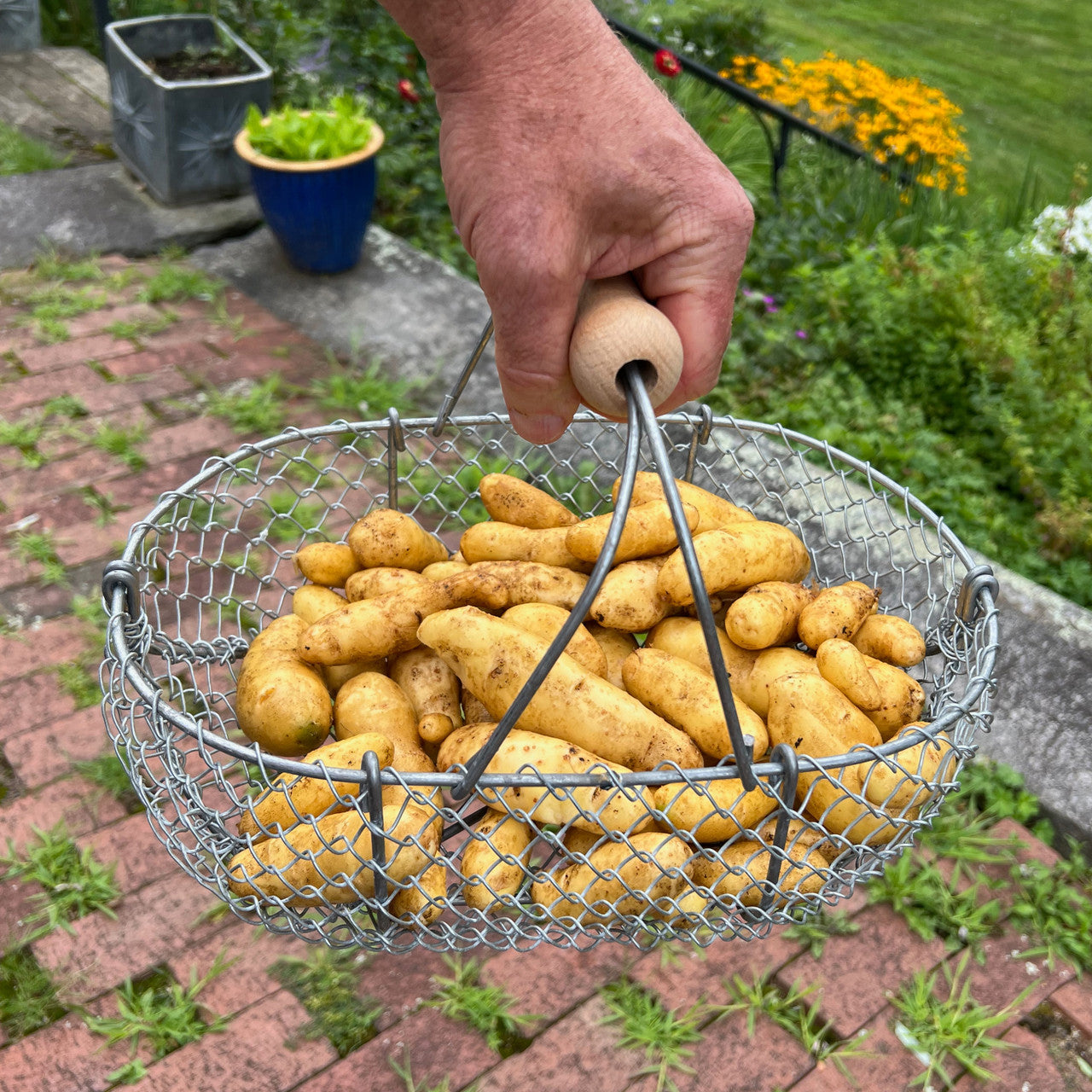 Heavy-Duty Woven Galvanized Baskets
