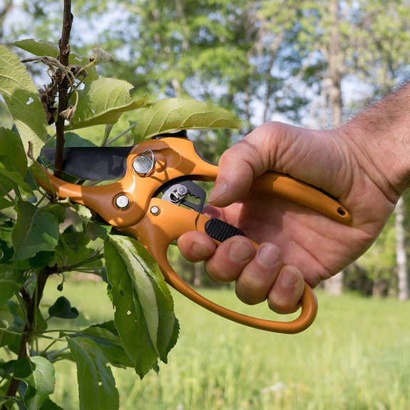 Garrett Wade Ratcheting Hand Pruner & Sheath
