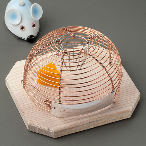 Humane House Mouse Catcher