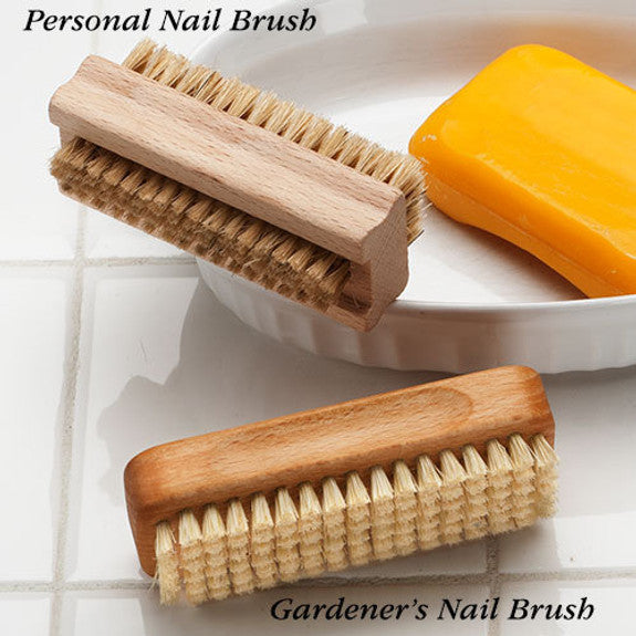 Gardener's nail brush