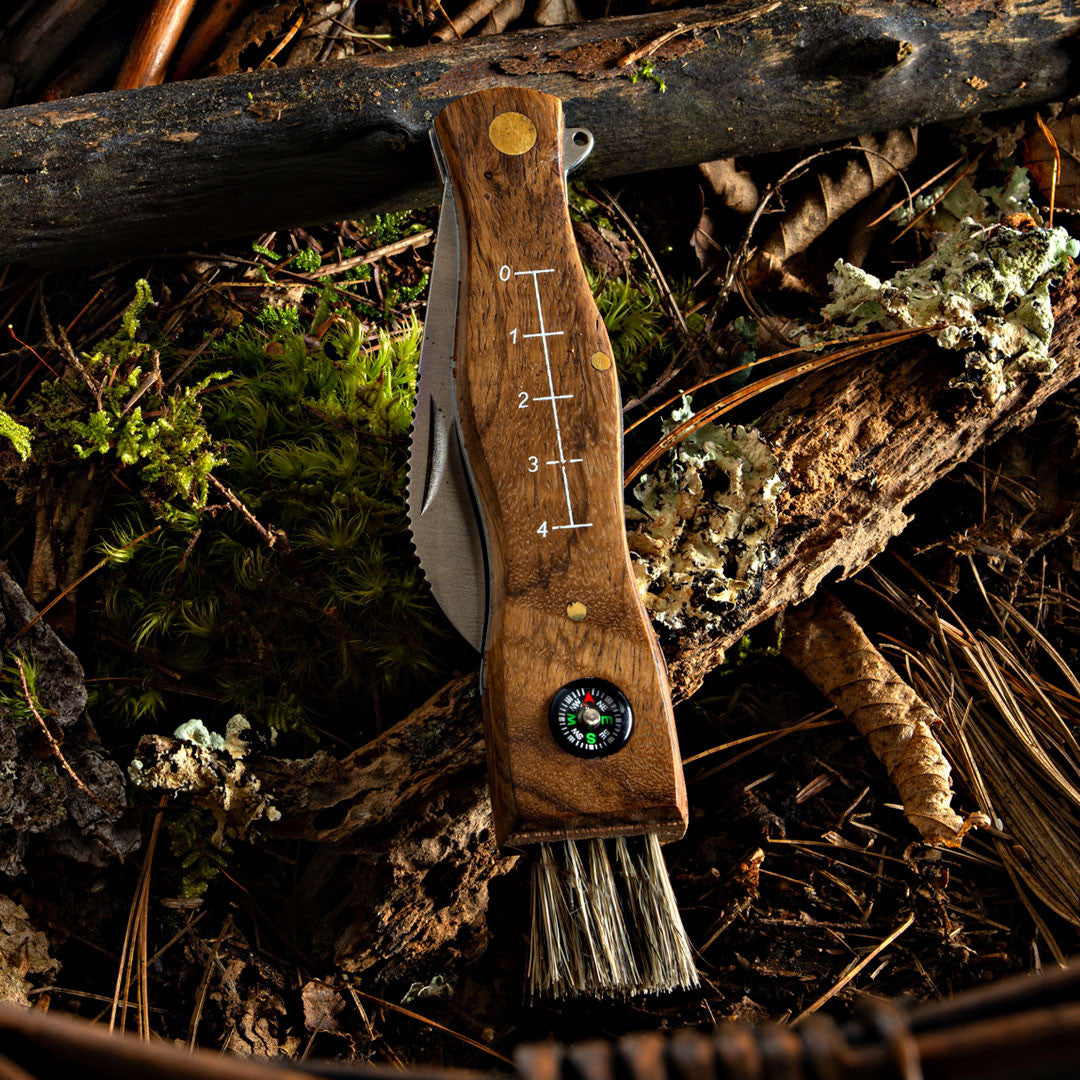 Redwood Mushroom Knife