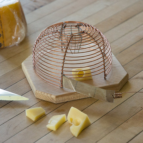 Humane House Mouse Catcher