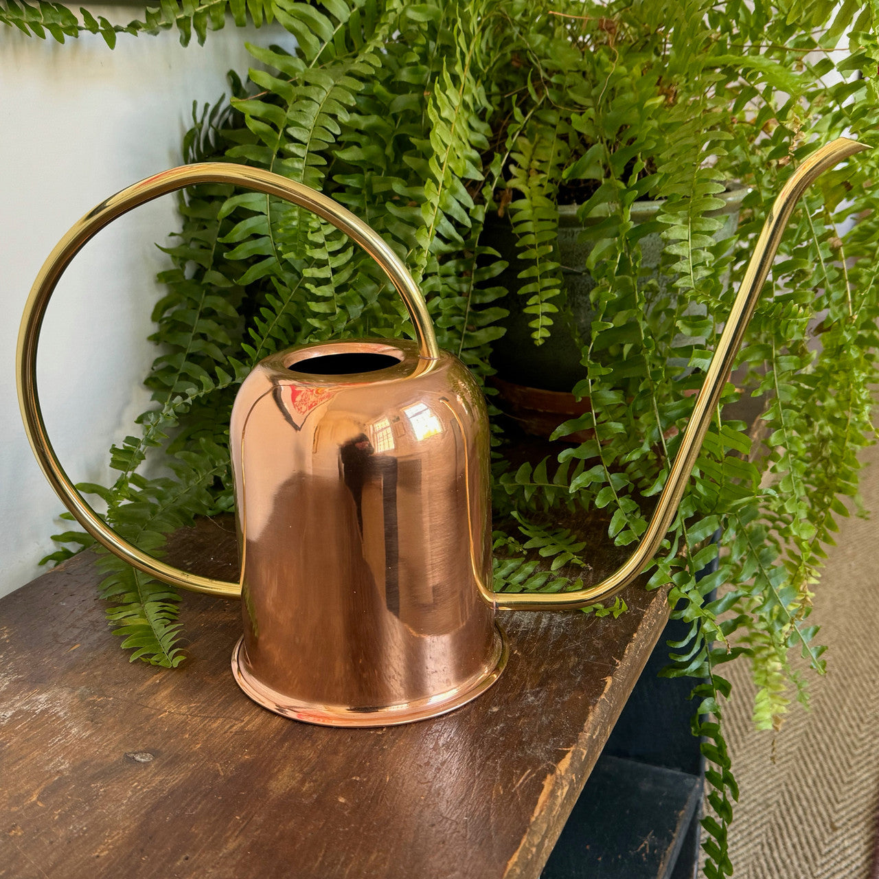 Copper & Brass Indoor Watering Can