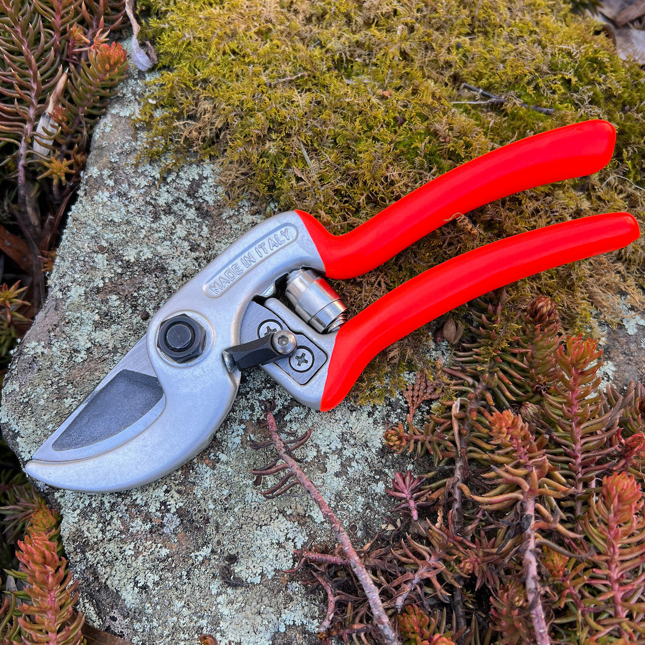 Ergonomic Italian Pruners