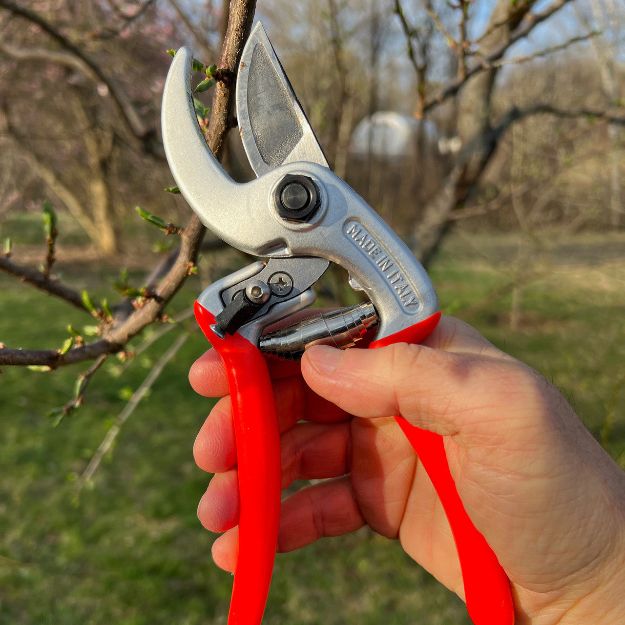 Ergonomic Italian Pruners