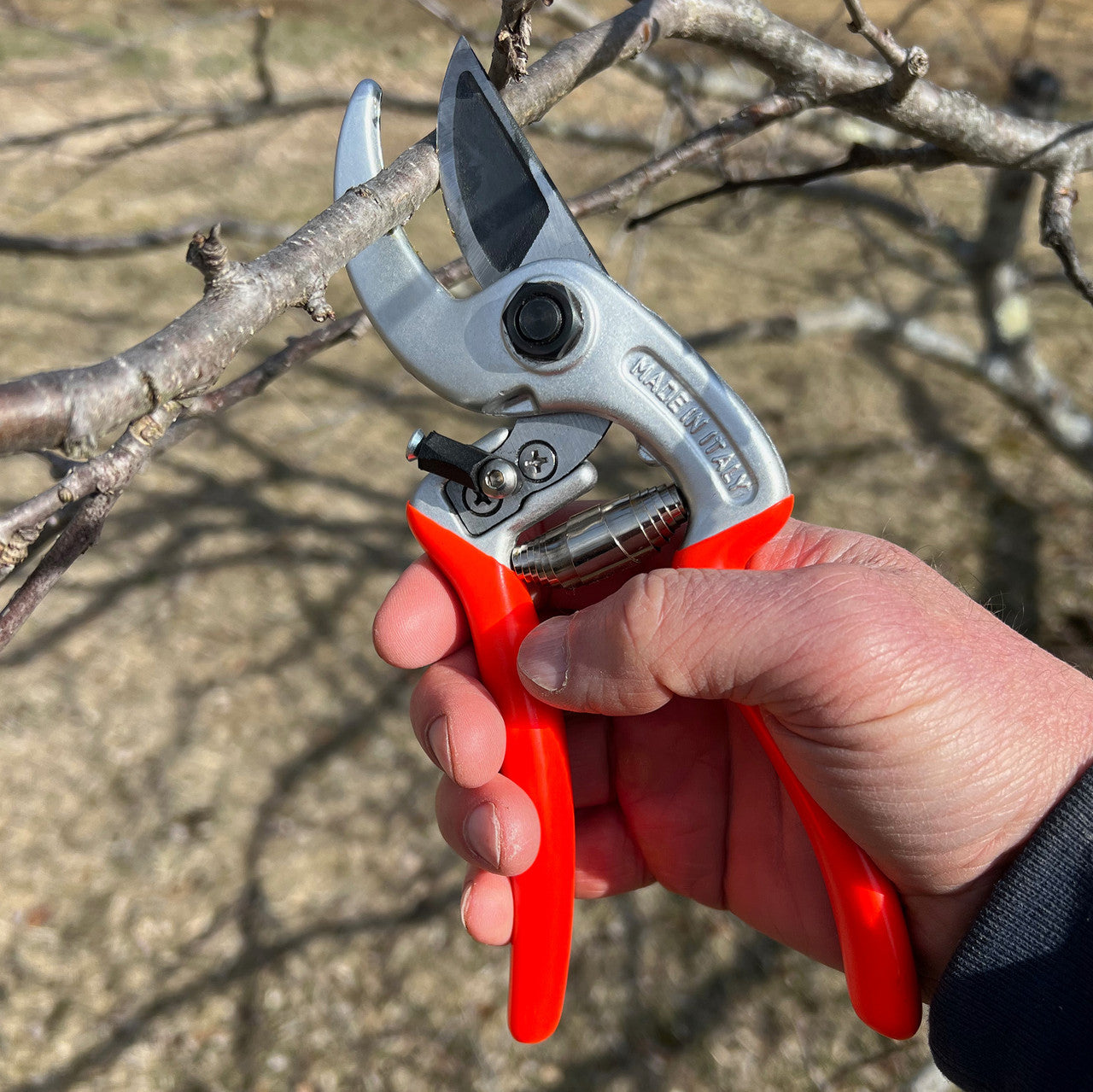 Ergonomic Italian Pruners