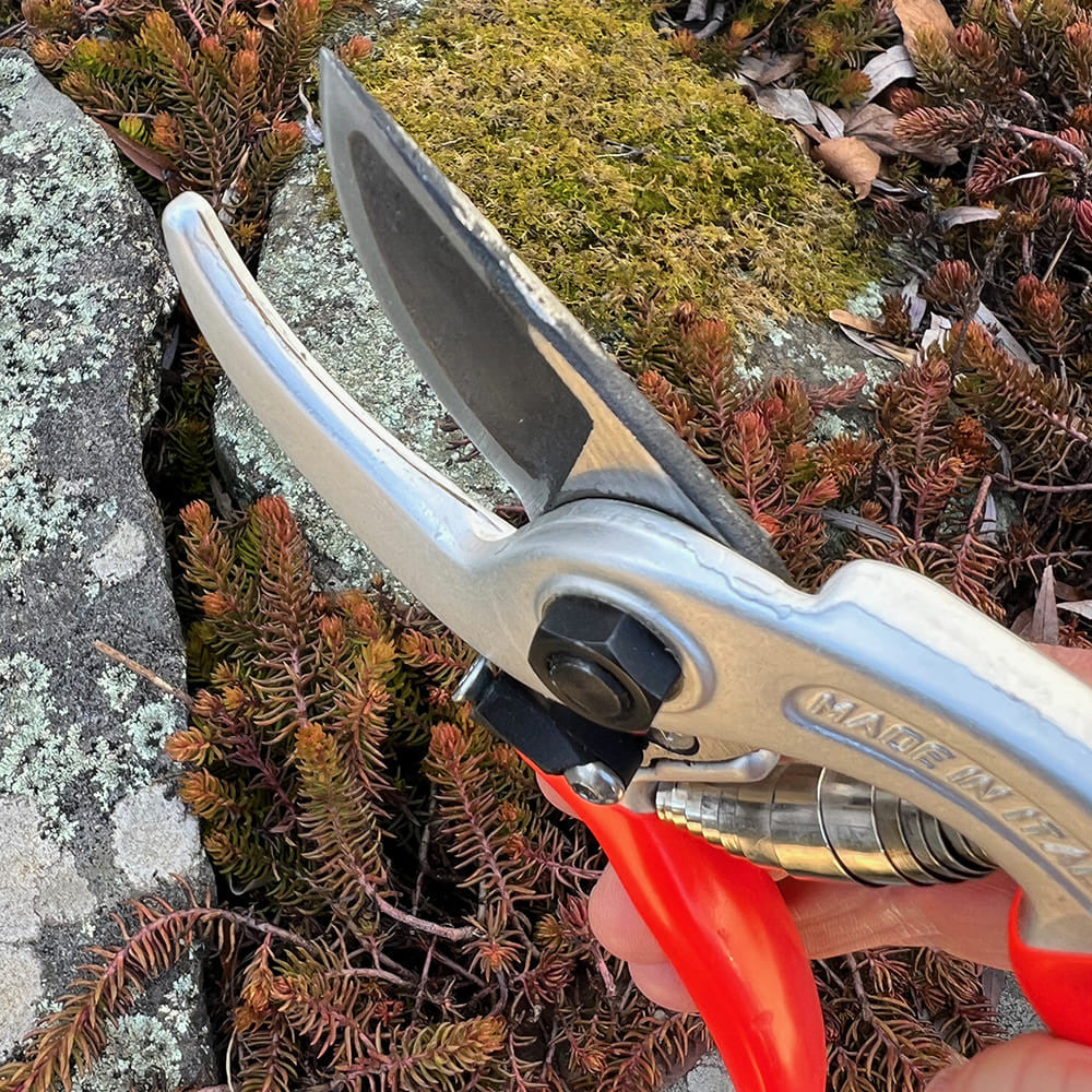 Ergonomic Italian Pruners