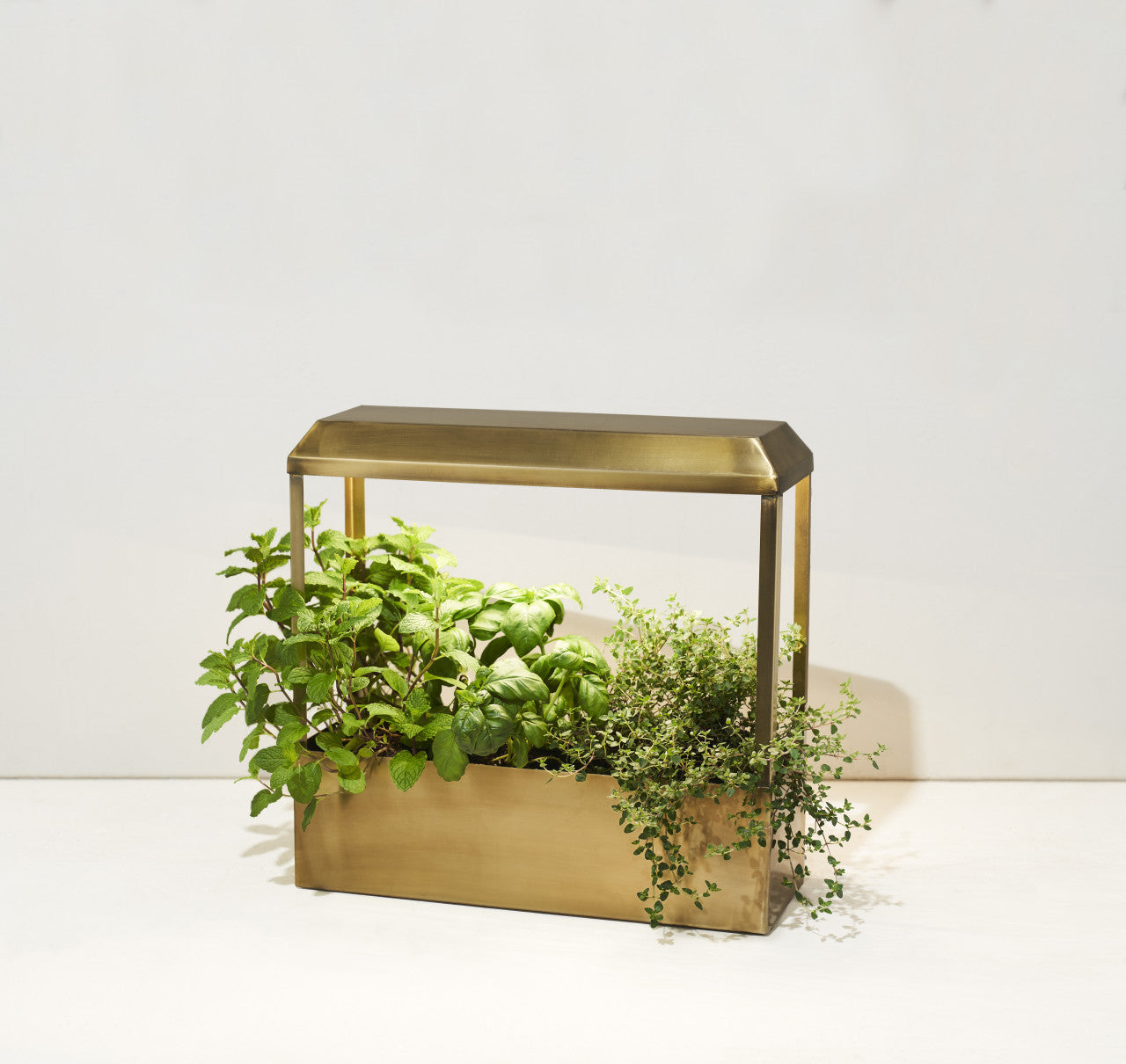 Kitchen Garden Growhouse