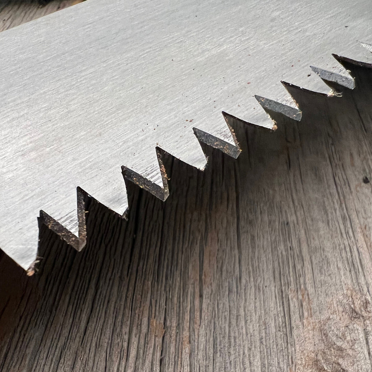 Crosscut Timber Saw Japanese blade