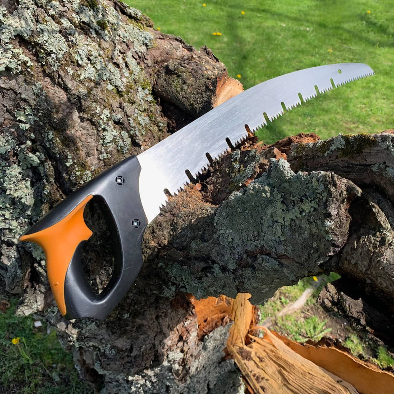 Arborist Large Raker-Tooth Pruning Saw