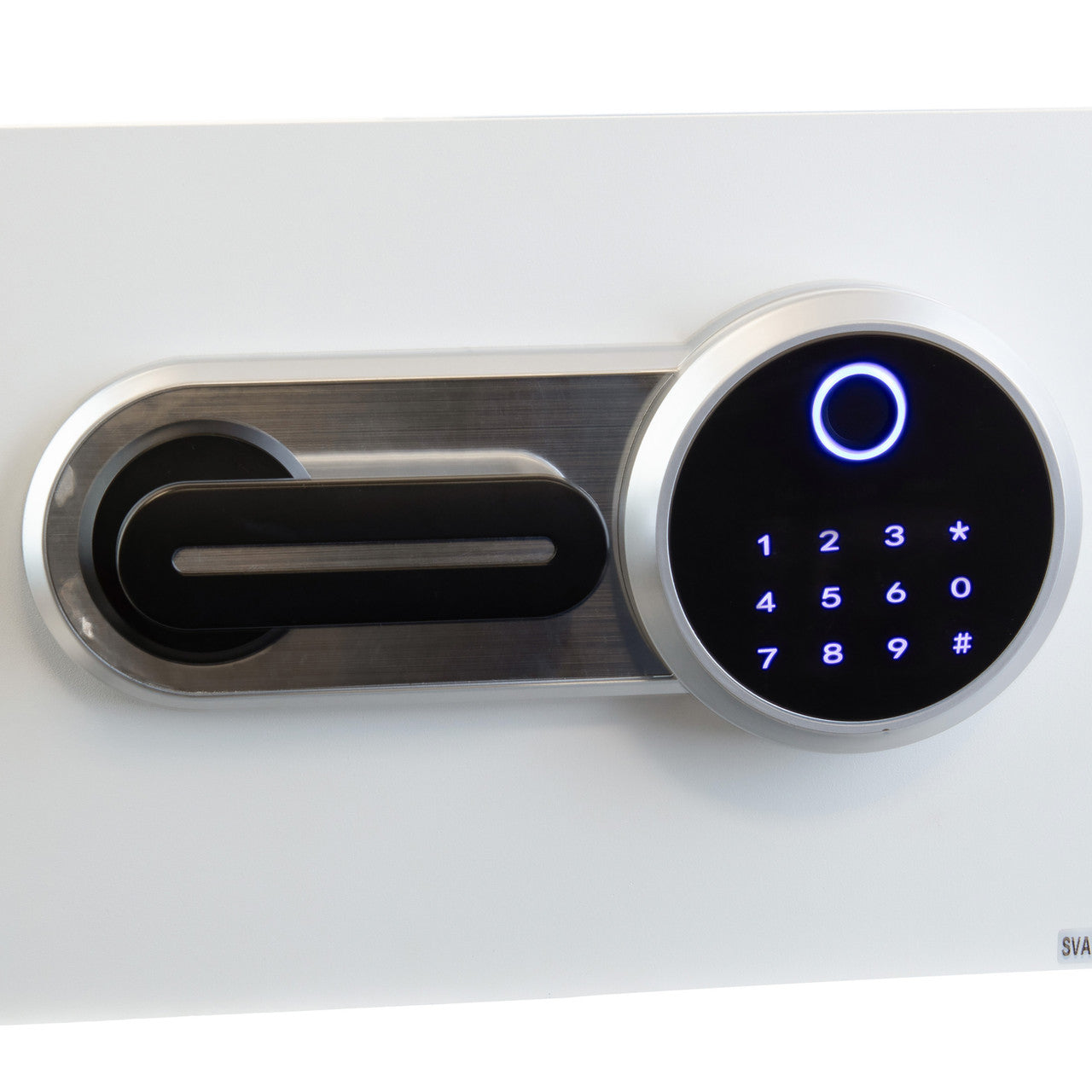 Biometric Safe/Lock Box