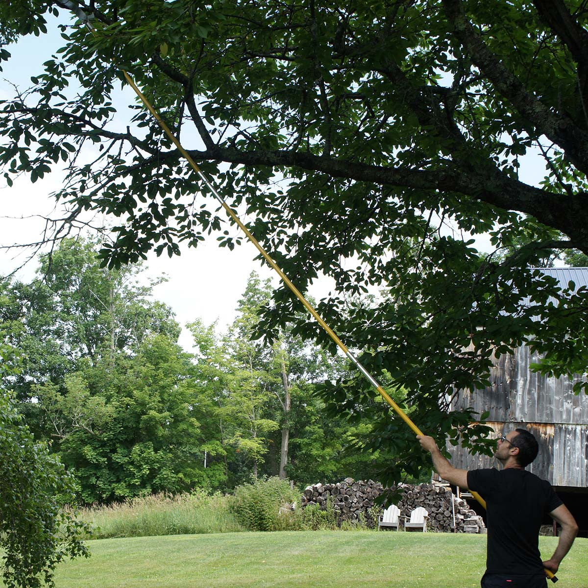 Hi-Reach 19 ft Pole Saws