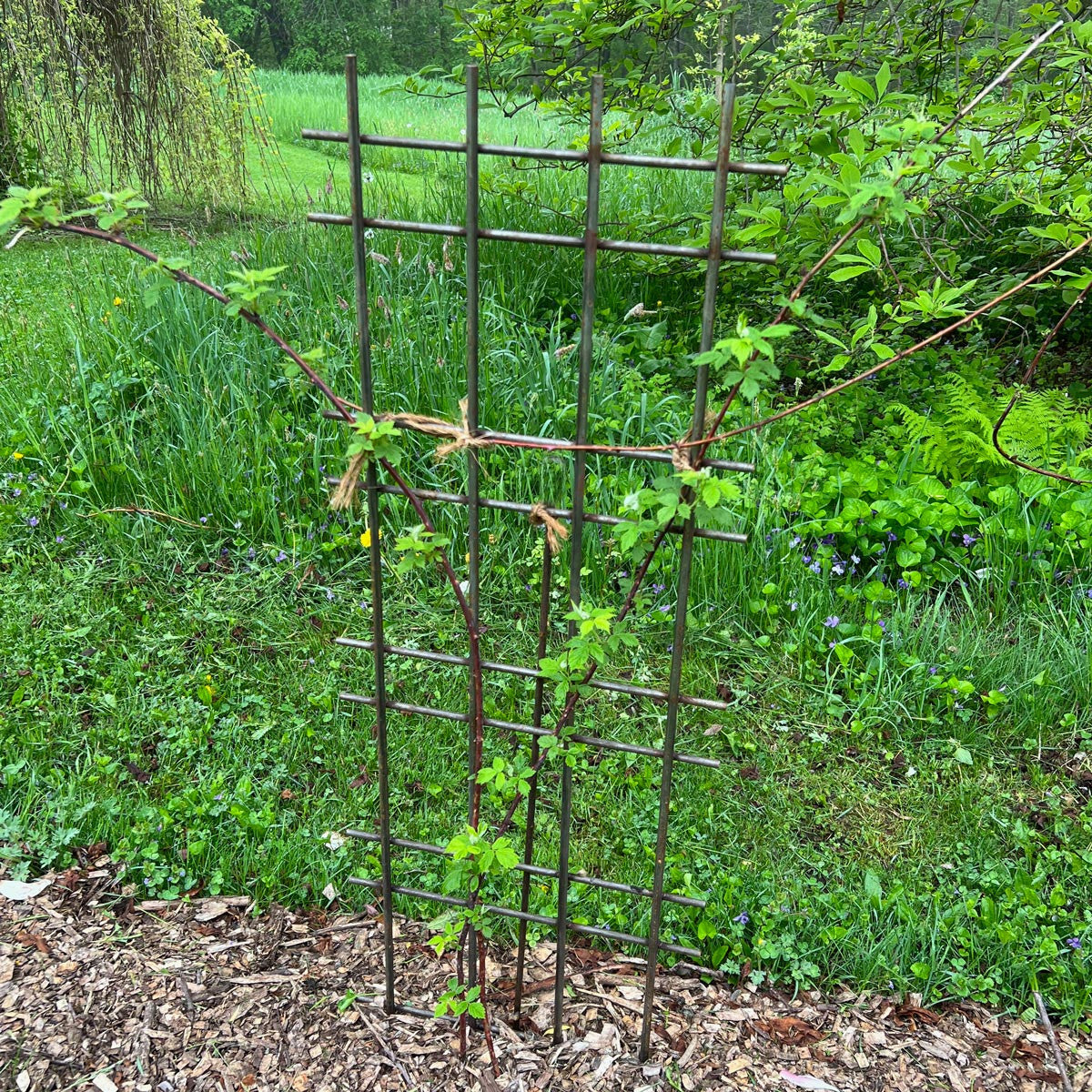 Interlocking Steel Garden Trellis