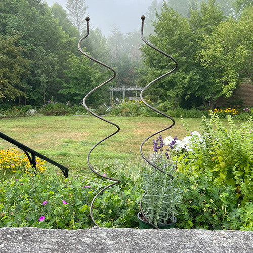 Spiral Plant Support