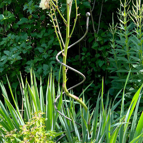 Spiral Plant Support