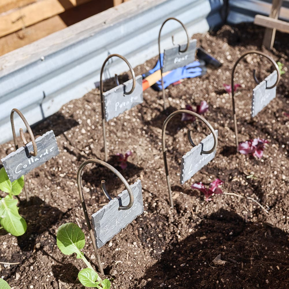 Slate Stone Garden Labels with Steel Stakes (6 pcs)