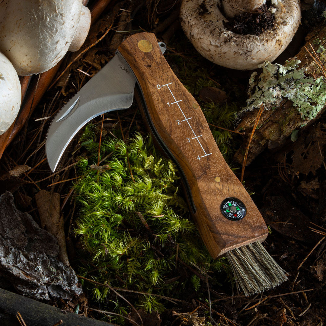 Redwood Mushroom Knife