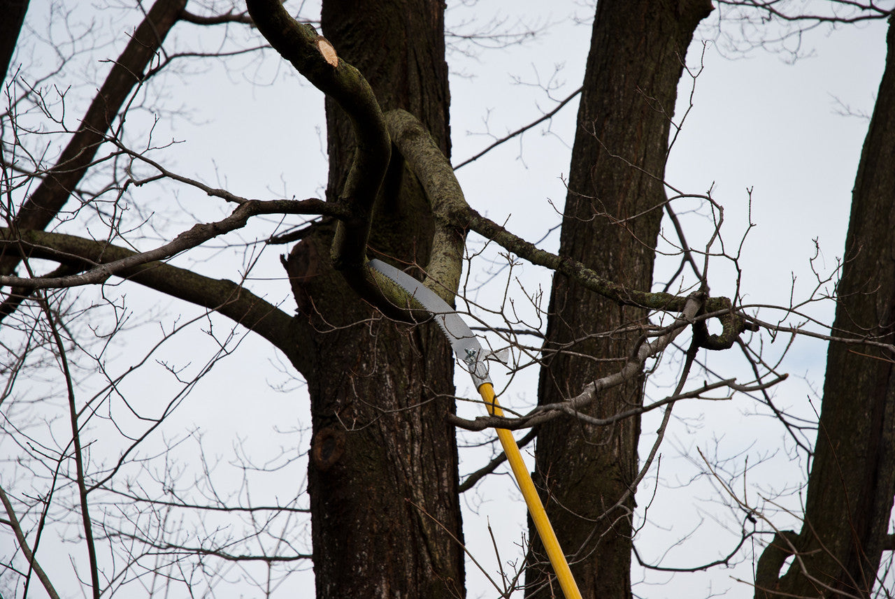 Hi-Reach 19 ft Pole Saws