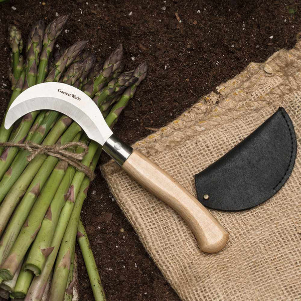 HarvestingKnife_Edit__16265.