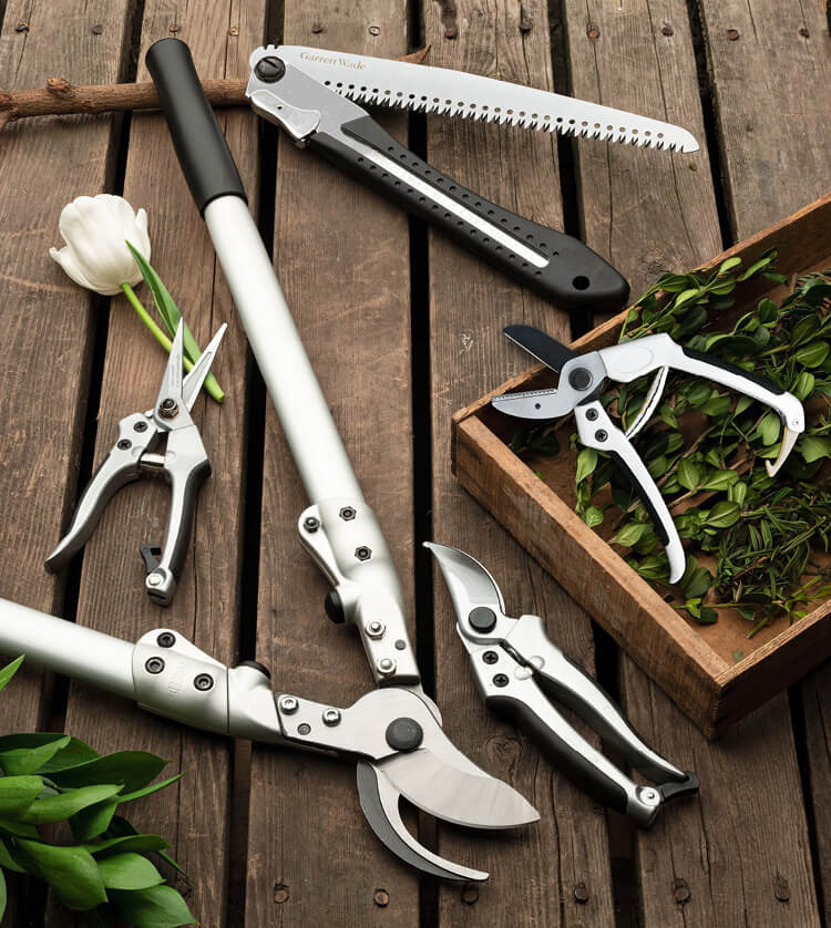 Shop Pruning Tools