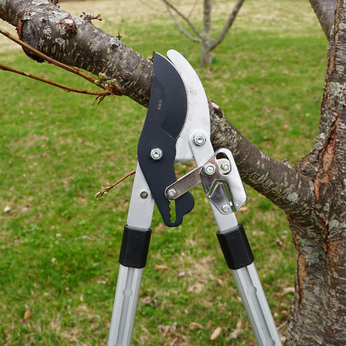 Heavy Duty Bypass Lopper