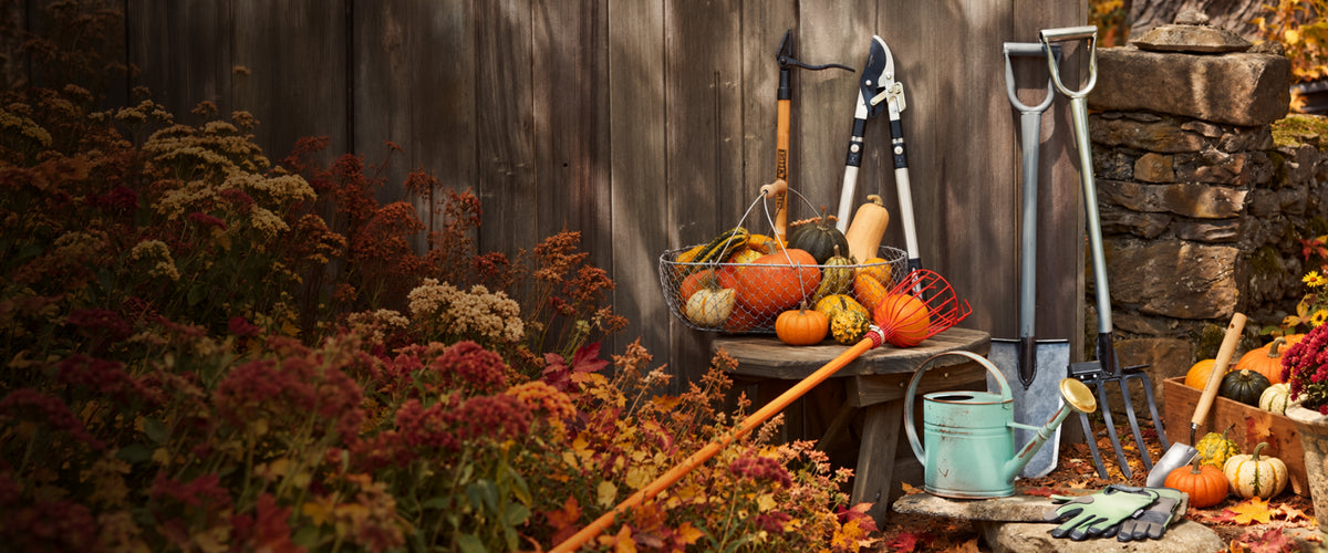 Fall garden tools leaning on a weathered shed beside a basket of gourds and autumn flowers
