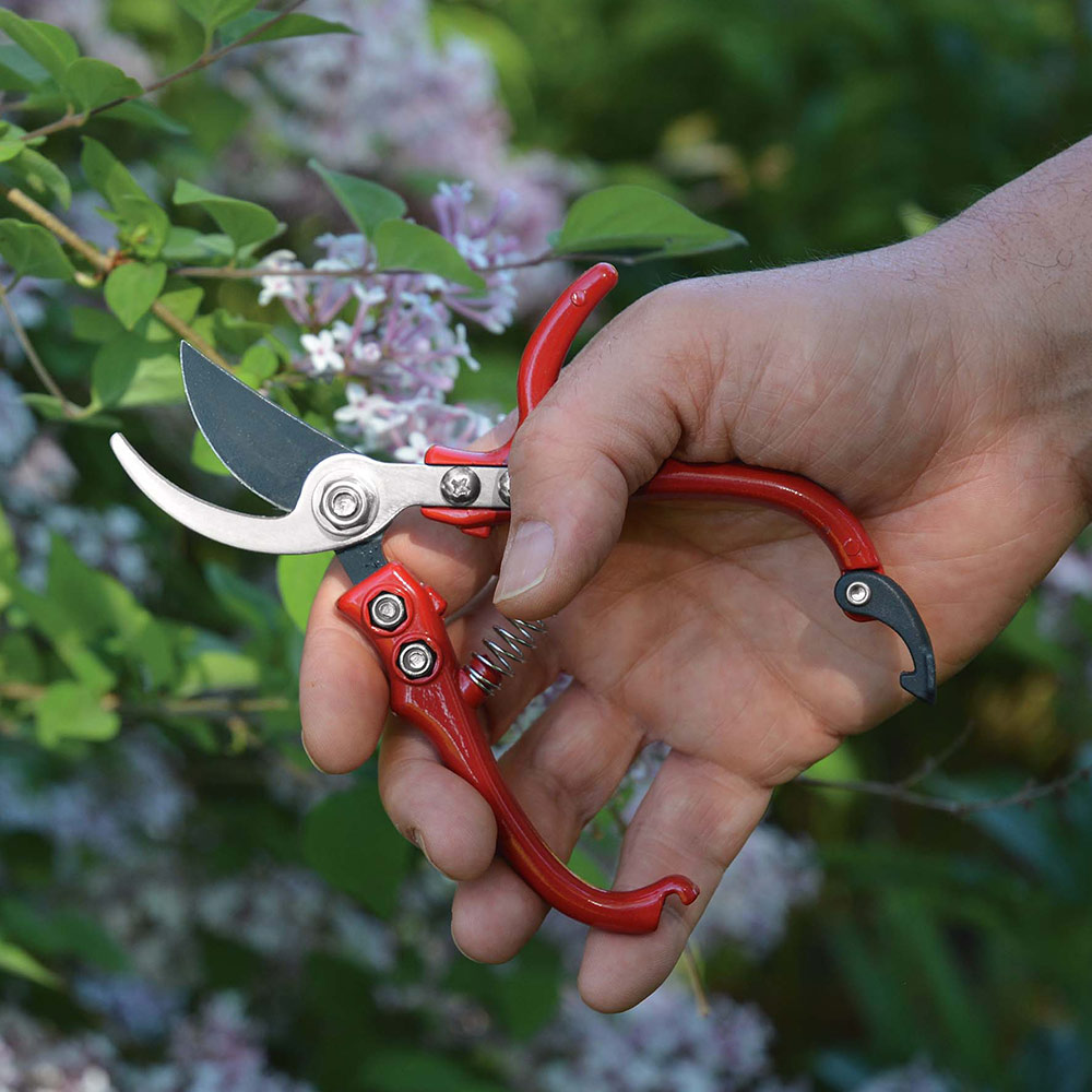 Small Bypass Pruners