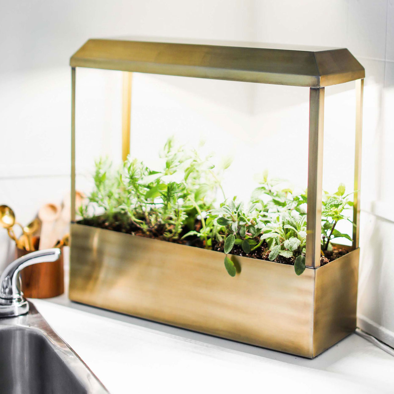 Kitchen Growhouse