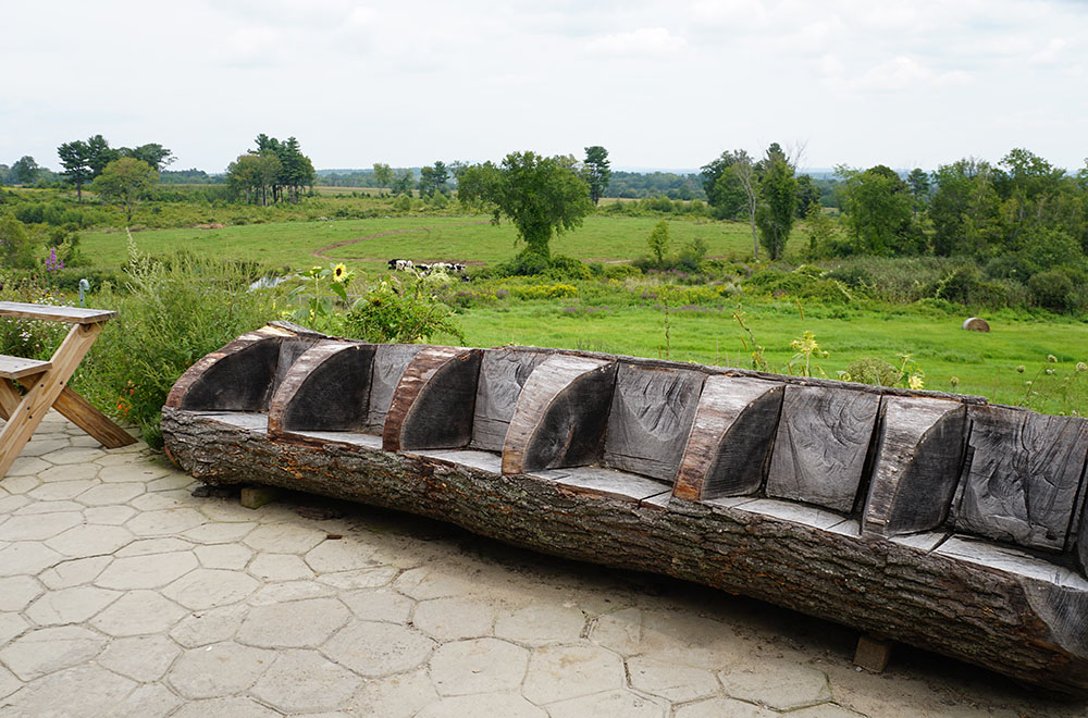 Tree Bench