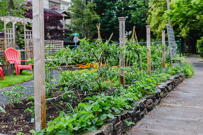 Small space gardening