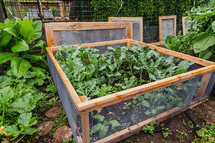 Tools for Urban farming