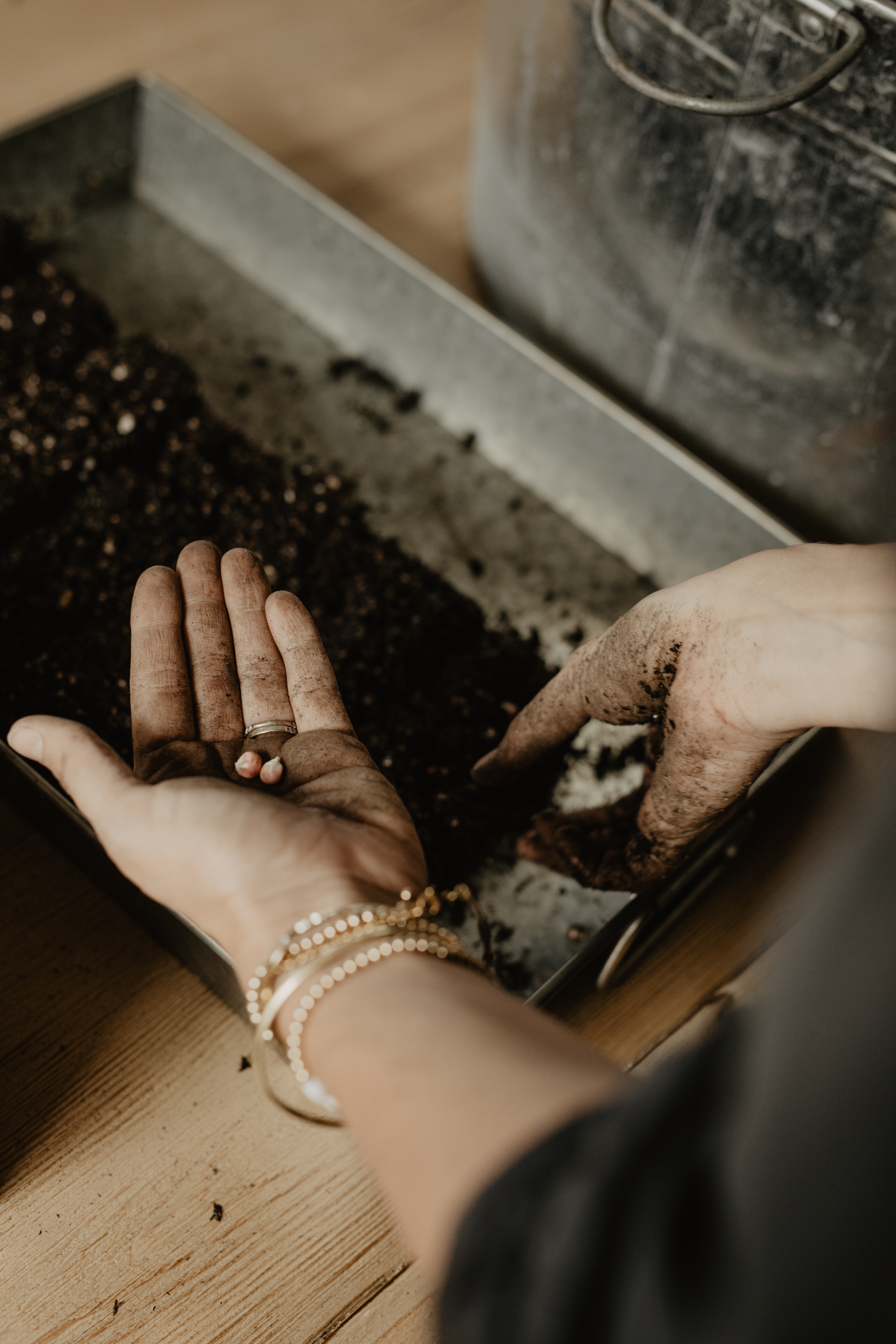 Seeds into Soil Blocking Tool