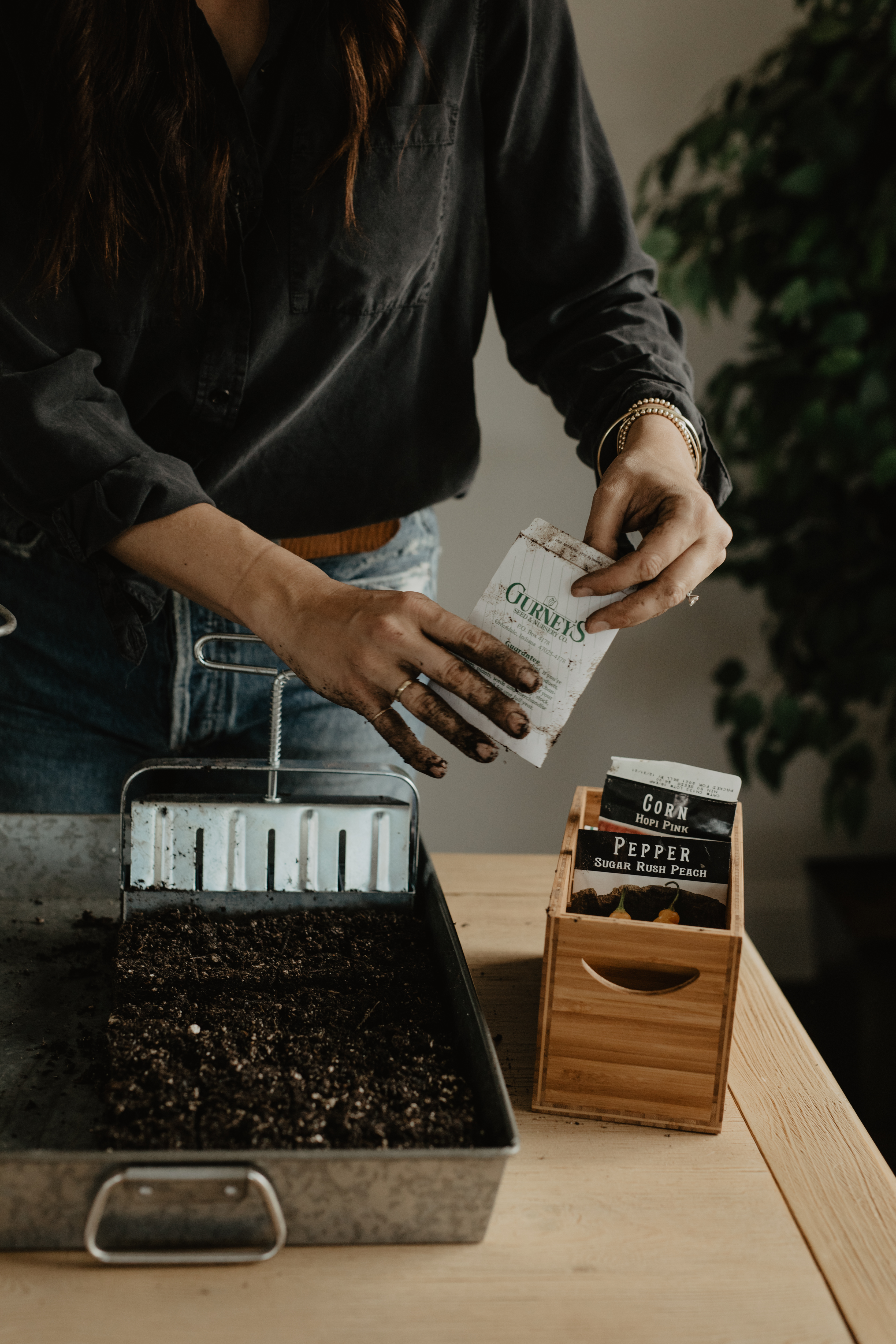 Adding Seeds to Soil in Soil Blocking Tool