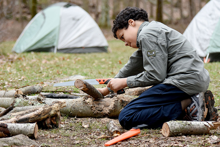 Cutting Firewood