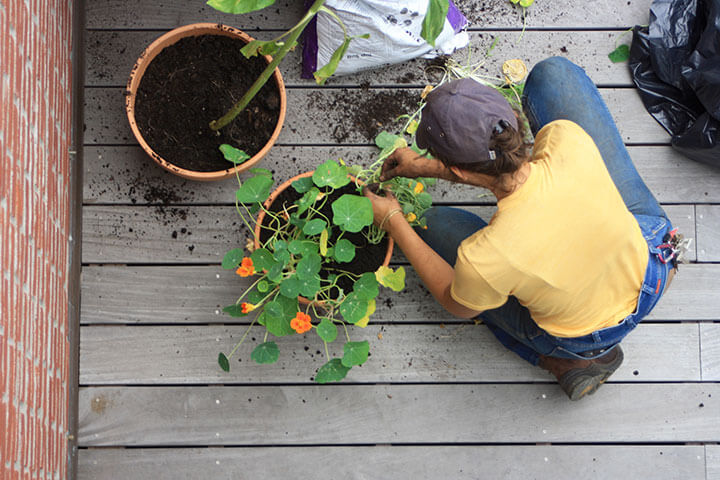 How to container garden