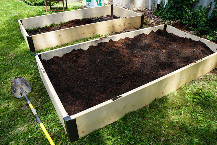 Raised Bed Garden 4