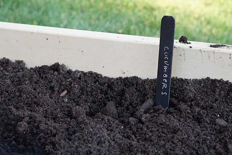 Planting in a Raised bed Garden