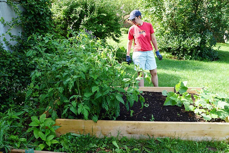 Raised Bed Garden 1