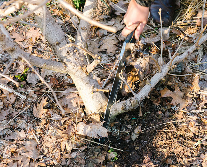 Folding saw