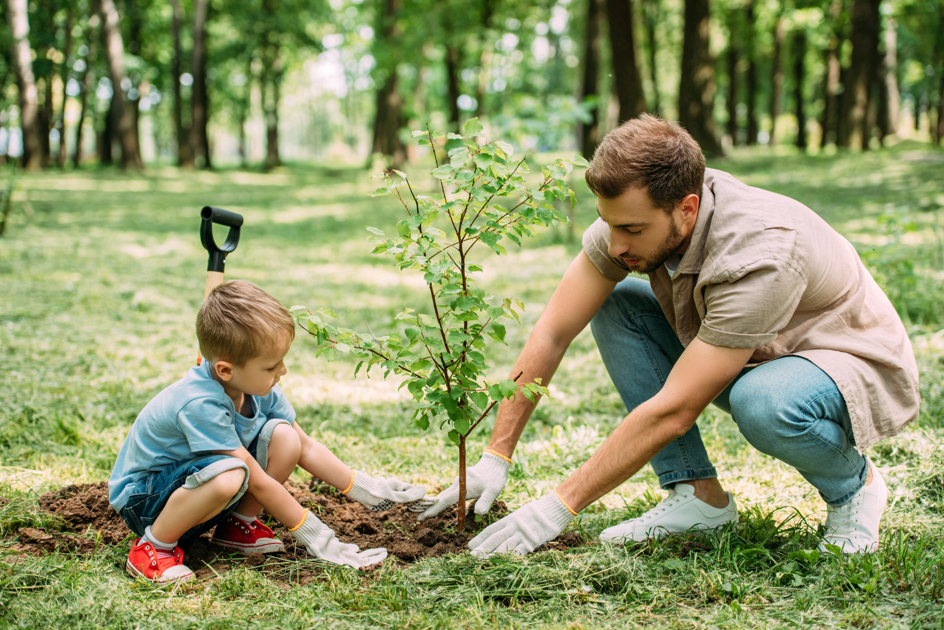 Father and Son planting a tree together