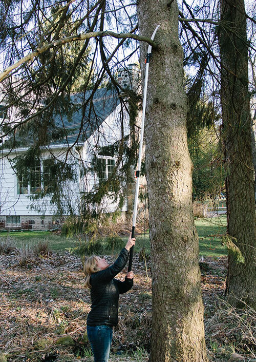 Pruning Saw