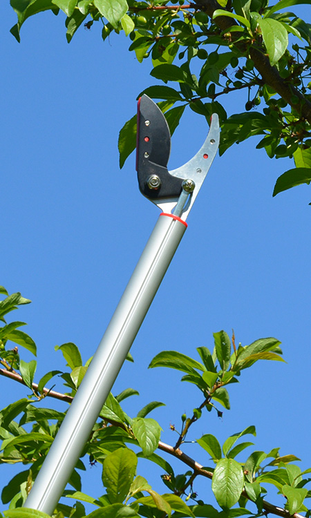 Long Reach Hand Pruner