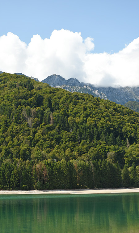 Maniago Region Landscapes