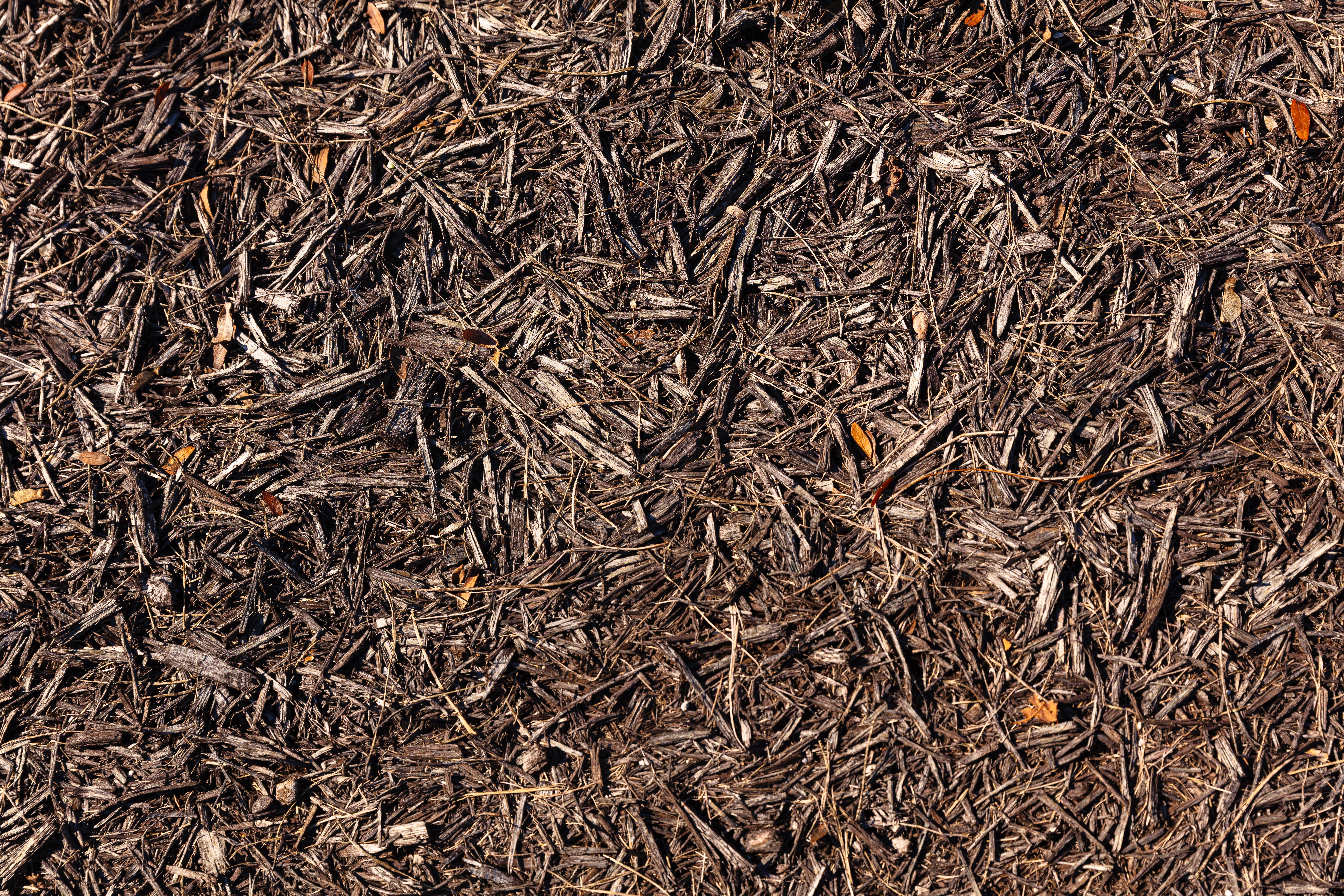 Mulch