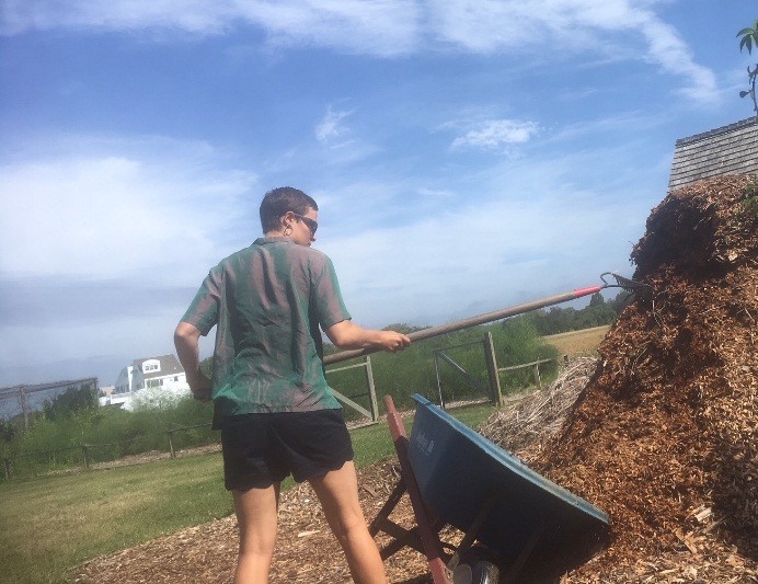 Mulching