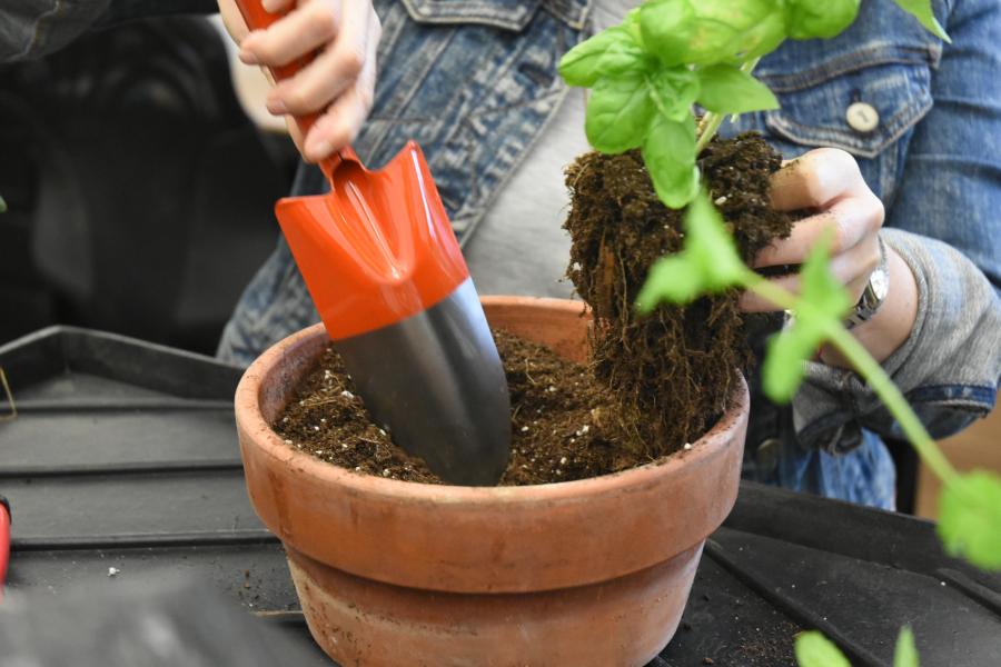 gardening with trowel